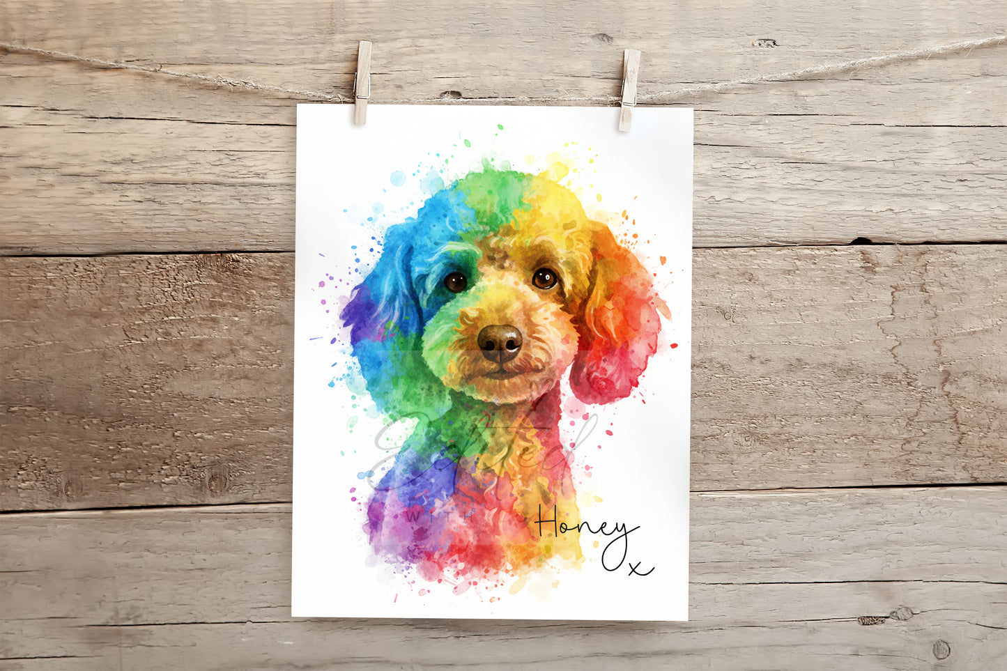 Rainbow Pet Print