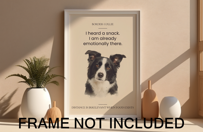 Pet Humour Wall Art