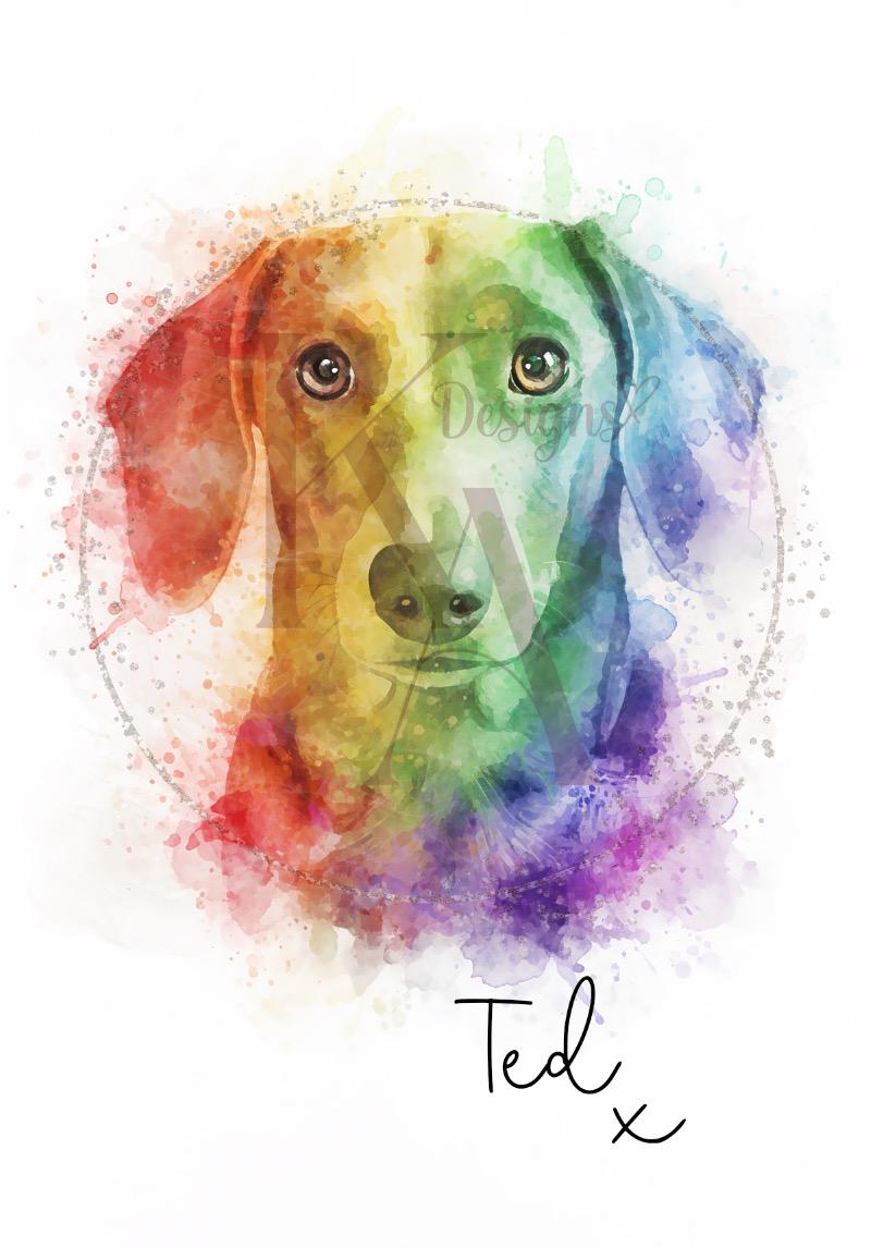 Rainbow Pet Print