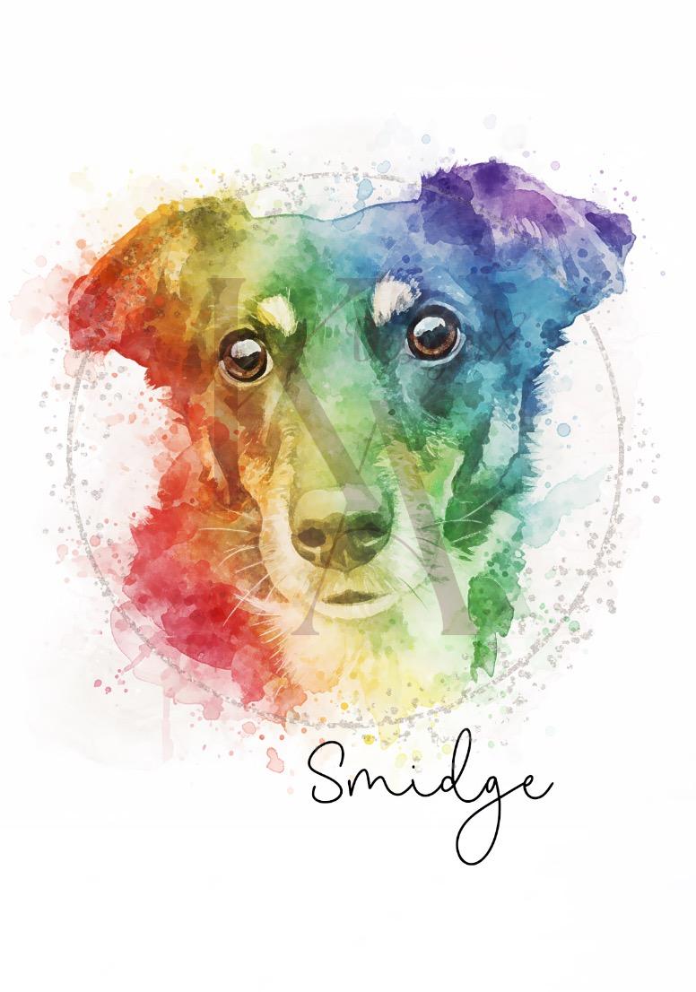 Rainbow Pet Print
