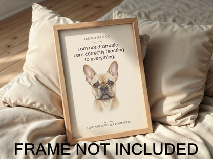 Pet Humour Wall Art