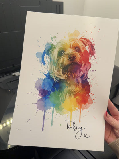 Rainbow Pet Print